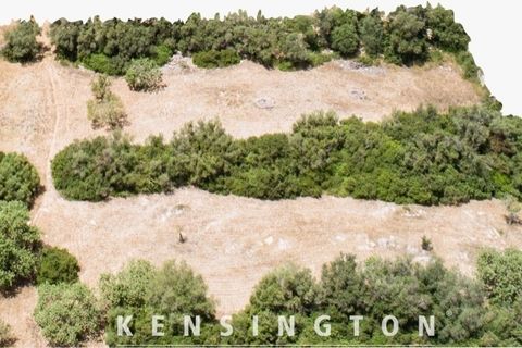 Masia a Arta, Mallorca, Arta - € 2.650.000 | Ref: KPNO925 - foto 11