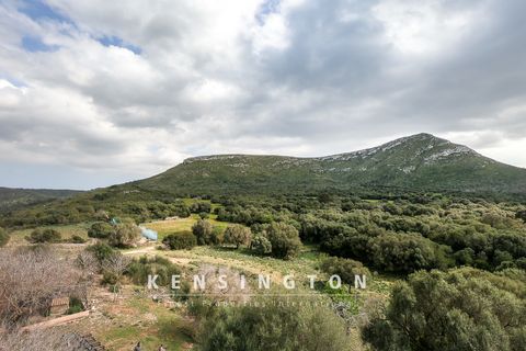 Landejendom i Arta, Mallorca, Arta - € 6.000.000 | Ref: KPNO773 - foto 16