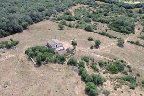 Terra a Manacor, Mallorca, Manacor - € 1.500.000 | Ref: KPNO732 - foto 6
