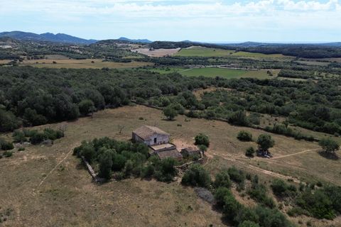 Terra a Manacor, Mallorca, Manacor - € 1.500.000 | Ref: KPNO732 - foto 7