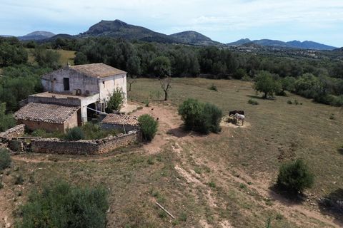 Terra a Manacor, Mallorca, Manacor - € 1.500.000 | Ref: KPNO732 - foto 8