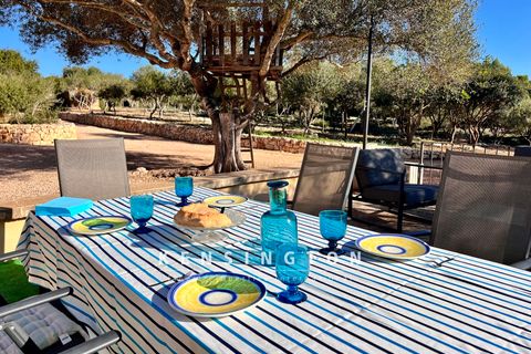 Landejendom i Manacor, Mallorca, Manacor - € 1.650.000 | Ref: KPNO685 - foto 27