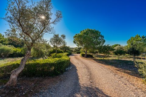 Herregård i Manacor, Mallorca, Manacor - € 1 650 000 | Ref: KPNO685 - foto 24
