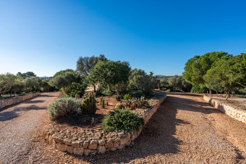 Herregård i Manacor, Mallorca, Manacor - € 1 650 000 | Ref: KPNO685 - foto 25