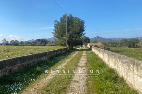 Helårsgrund i Arta, Mallorca, Arta - € 325.000 | Ref: KPNO570 - foto 8