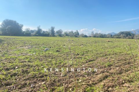 Helårsgrund i Arta, Mallorca, Arta - € 325.000 | Ref: KPNO570 - foto 9