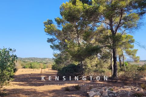 Helårsgrund i Manacor, Mallorca, Manacor - € 390.000 | Ref: KPNO423 - foto 15