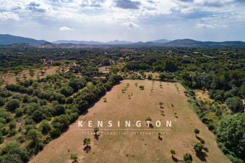 Terra a Arta, Mallorca, Arta - € 378.000 | Ref: KPNO387 - foto 6