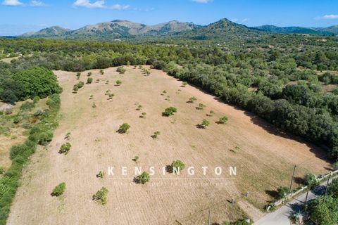Terra a Arta, Mallorca, Arta - € 378.000 | Ref: KPNO387 - foto 8