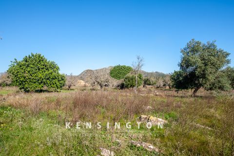 Terra a Arta, Mallorca, Arta - € 480.000 | Ref: KPNO946 - foto 7