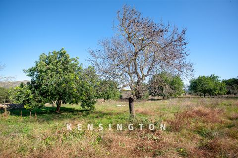 Terra a Arta, Mallorca, Arta - € 480.000 | Ref: KPNO946 - foto 8