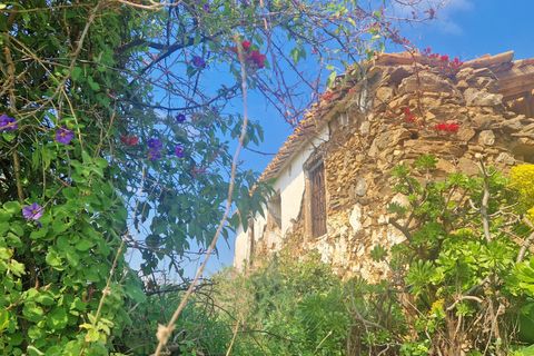 Landejendom i Velez Malaga, Malaga, Velez Malaga - € 59.000 | Ref: AX1429 - foto 2
