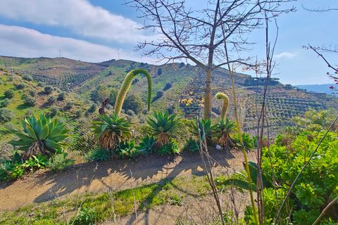 Landejendom i Velez Malaga, Malaga, Velez Malaga - € 59.000 | Ref: AX1429 - foto 8