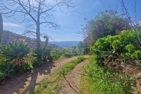 Landejendom i Velez Malaga, Malaga, Velez Malaga - € 59.000 | Ref: AX1429 - foto 5