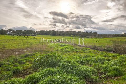 Helårsgrund i Elvas, Portalegre, Elvas - € 160.000 | Ref: JF718 - foto 1