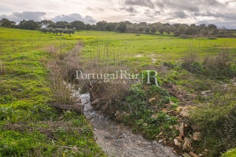 Helårsgrund i Elvas, Portalegre, Elvas - € 160.000 | Ref: JF718 - foto 2