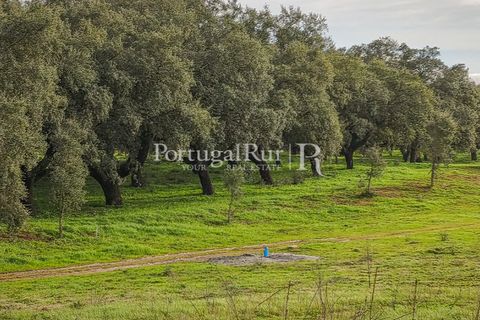 Helårsgrund i Elvas, Portalegre, Elvas - € 160.000 | Ref: JF718 - foto 3