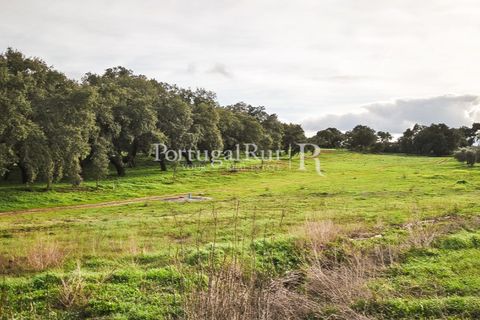 Helårsgrund i Elvas, Portalegre, Elvas - € 160.000 | Ref: JF718 - foto 4
