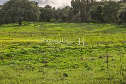 Helårsgrund i Elvas, Portalegre, Elvas - € 160.000 | Ref: JF718 - foto 6