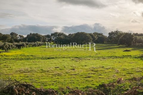 Helårsgrund i Elvas, Portalegre, Elvas - € 160.000 | Ref: JF718 - foto 7