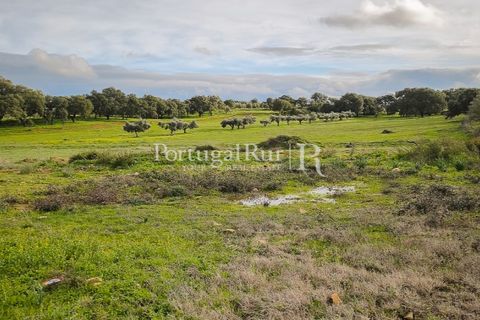 Helårsgrund i Elvas, Portalegre, Elvas - € 160.000 | Ref: JF718 - foto 9