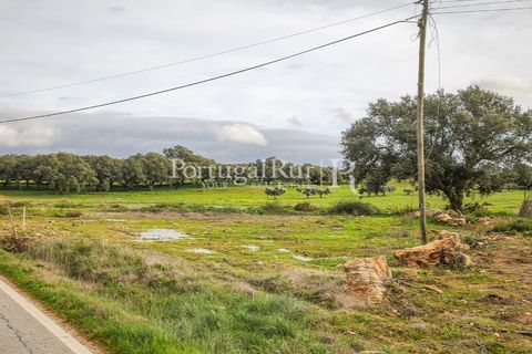 Helårsgrund i Elvas, Portalegre, Elvas - € 160.000 | Ref: JF718 - foto 11