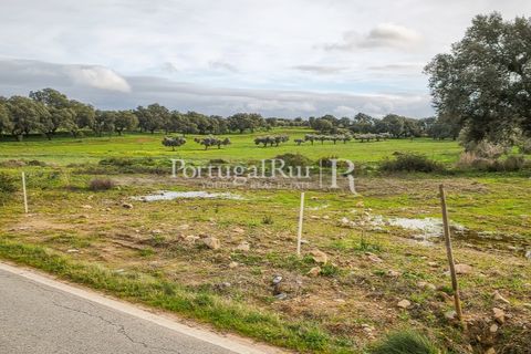 Helårsgrund i Elvas, Portalegre, Elvas - € 160.000 | Ref: JF718 - foto 12