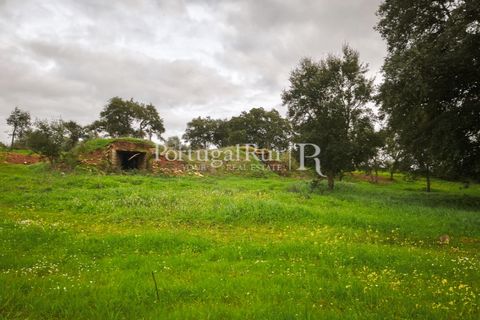 Helårsgrund i Elvas, Portalegre, Elvas - € 160.000 | Ref: JF718 - foto 13