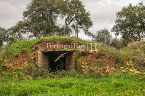 Helårsgrund i Elvas, Portalegre, Elvas - € 160.000 | Ref: JF718 - foto 14