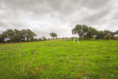 Helårsgrund i Elvas, Portalegre, Elvas - € 160.000 | Ref: JF718 - foto 17
