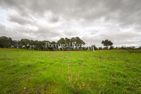 Helårsgrund i Elvas, Portalegre, Elvas - € 160.000 | Ref: JF718 - foto 18