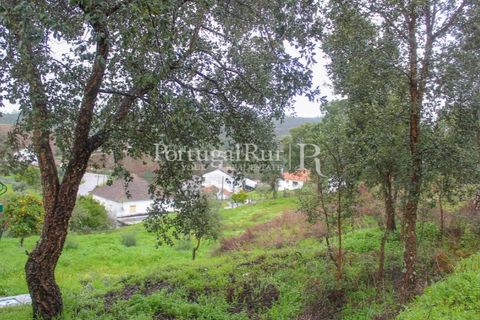 Villa a Proenca-a-Nova, Castelo Branco, Proenca-a-Nova - € 210.000 | Ref: SA883 - foto 49