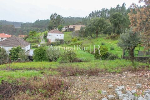 Villa a Proenca-a-Nova, Castelo Branco, Proenca-a-Nova - € 210.000 | Ref: SA883 - foto 50