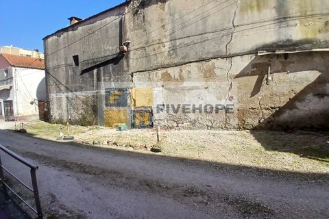 Bungalow i Coimbra, Coimbra, Coimbra - € 125.000 | Ref: CAS_199 - foto 5