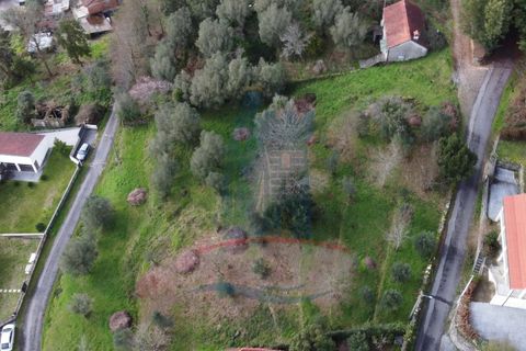 Helårsgrund i Serdedelo, Viana do Castelo, Serdedelo - € 48.000 | Ref: TL023 - foto 3