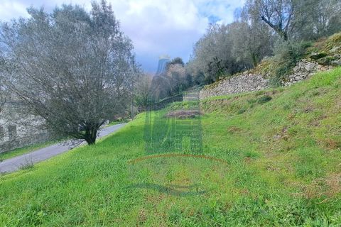 Helårsgrund i Serdedelo, Viana do Castelo, Serdedelo - € 48.000 | Ref: TL023 - foto 5