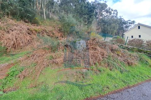 Helårsgrund i Serdedelo, Viana do Castelo, Serdedelo - € 48.000 | Ref: TL023 - foto 6