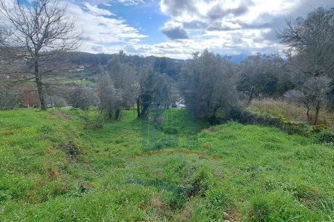 Helårsgrund i Serdedelo, Viana do Castelo, Serdedelo - € 48.000 | Ref: TL023 - foto 7