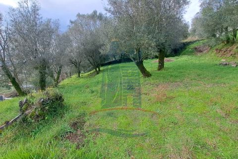 Helårsgrund i Serdedelo, Viana do Castelo, Serdedelo - € 48.000 | Ref: TL023 - foto 9