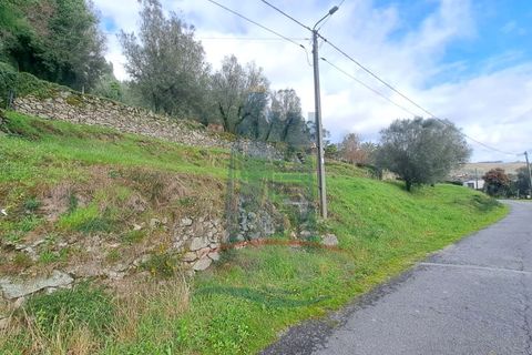Helårsgrund i Serdedelo, Viana do Castelo, Serdedelo - € 48.000 | Ref: TL023 - foto 11