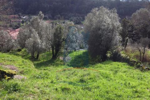 Helårsgrund i Serdedelo, Viana do Castelo, Serdedelo - € 78.000 | Ref: TL022 - foto 7