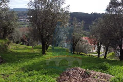 Helårsgrund i Serdedelo, Viana do Castelo, Serdedelo - € 78.000 | Ref: TL022 - foto 8