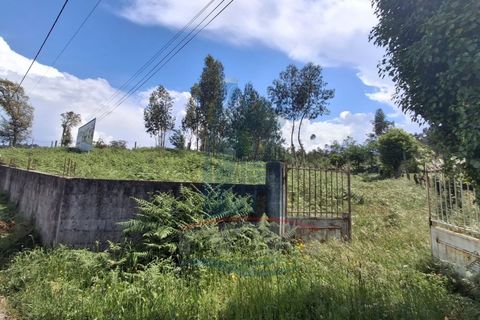 Helårsgrund i Vila Verde, Braga, Vila Verde - € 59.000 | Ref: TL021 - foto 11