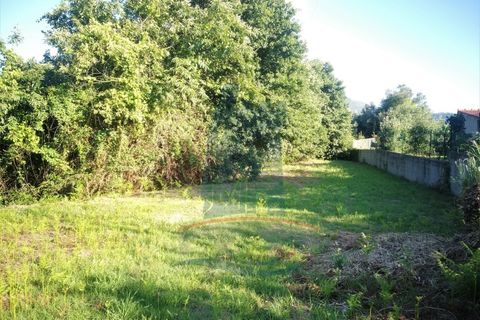 Helårsgrund i Ponte de Lima, Viana do Castelo, Ponte de Lima - € 78.000 | Ref: 3932 - foto 7