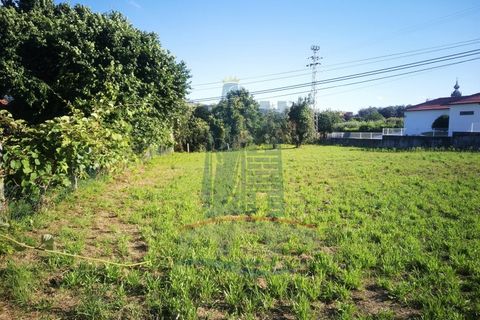 Helårsgrund i Ponte de Lima, Viana do Castelo, Ponte de Lima - € 78.000 | Ref: 3932 - foto 8