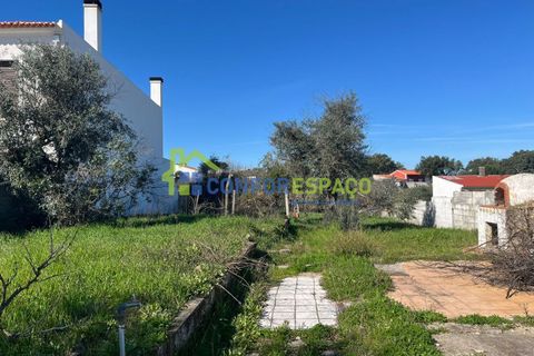 Helårsgrund i Castelo Branco, Castelo Branco, Castelo Branco - € 31.500 | Ref: 26015 - foto 9