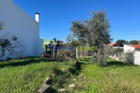 Helårsgrund i Castelo Branco, Castelo Branco, Castelo Branco - € 31.500 | Ref: 26015 - foto 6