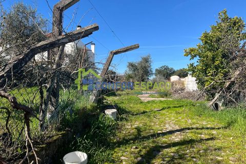 Helårsgrund i Castelo Branco, Castelo Branco, Castelo Branco - € 31.500 | Ref: 26015 - foto 10