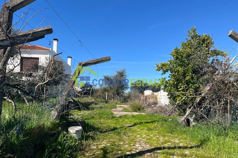 Helårsgrund i Castelo Branco, Castelo Branco, Castelo Branco - € 31.500 | Ref: 26015 - foto 11