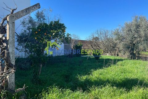 Helårsgrund i Castelo Branco, Castelo Branco, Castelo Branco - € 31.500 | Ref: 26015 - foto 3